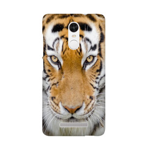 casing tiger Casing HP