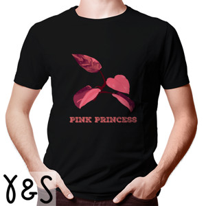Kaos Kaos Philo Pink Princess
