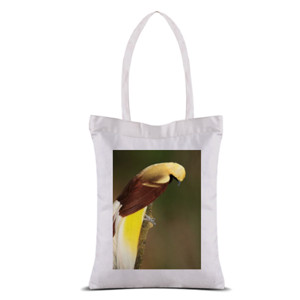 Tas Tote Lesser Bird of Paradise