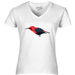Kaos Birdz Series #5