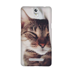 Sleeping cat Casing HP