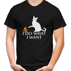 Kaos I Do What I Want