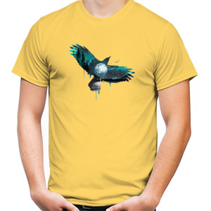 Kaos Flying The Night