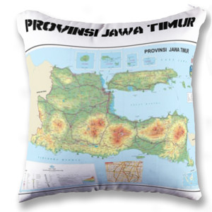 Bantal Peta