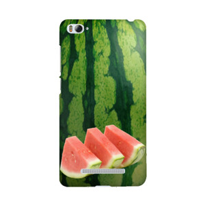 Watermelon Casing HP
