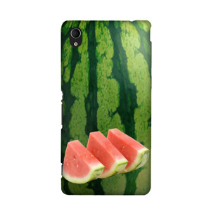 Watermelon Casing HP