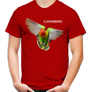 Kaos Lovebird