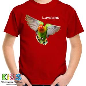 Kaos Lovebird