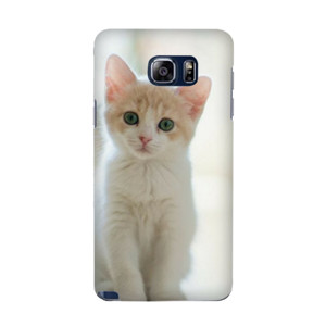 Cute Cat Casing HP