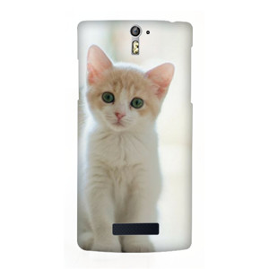 Cute Cat Casing HP