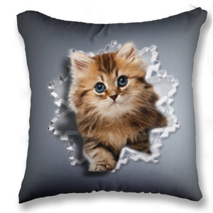 Bantal BANTAL SOFA KUCING LUCU 02