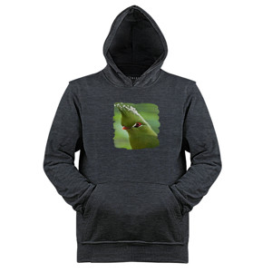 Jaket Hoodie Bird