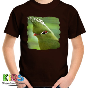 Kaos Bird
