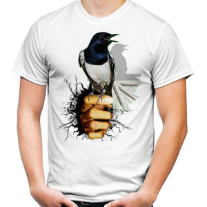 Kaos Burung Kacer