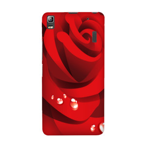 Roses chasing hp Casing HP
