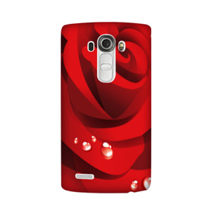 Roses chasing hp Casing HP