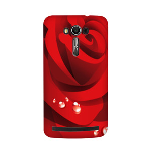 Roses chasing hp Casing HP