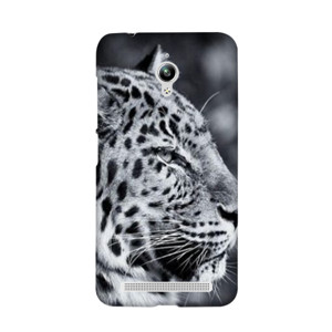 Young Leopard Casing HP