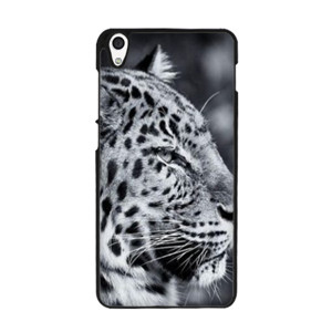 Young Leopard Casing HP
