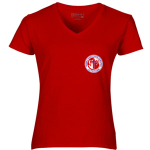 Kaos BAJU KAOS HUT RSDH 23