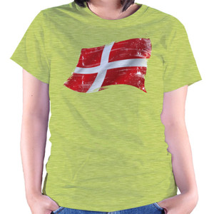 Kaos Denmark Grunge Flags