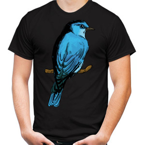 Kaos burung