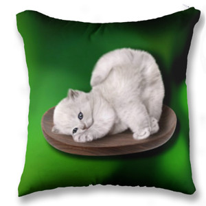 Bantal BANTAL SOFA KUCING Lucu Banget 10 CAT LOVER