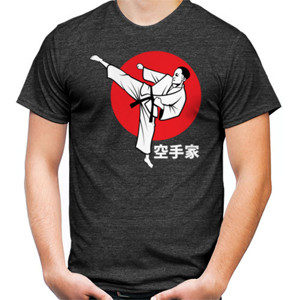Kaos Karateka 2