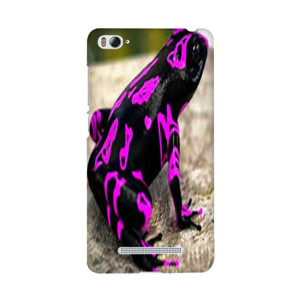 bang bgird Casing HP