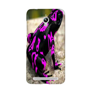 bang bgird Casing HP