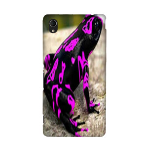 bang bgird Casing HP