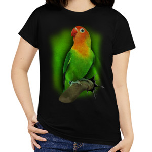 Kaos Lovebird