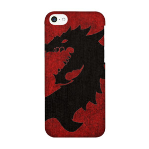 Dragon Head  Casing HP