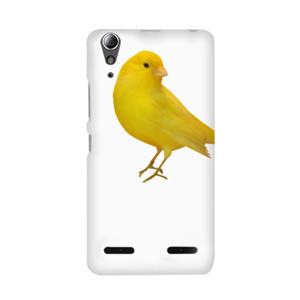 Burung kenari kuning Casing HP