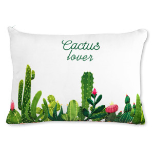 Bantal cactus water color