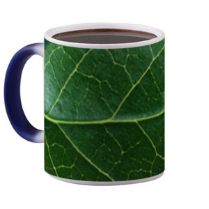 Mug Bunglon mug daun 