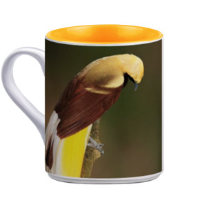 Mug Lesser Bird of Paradise
