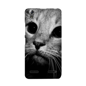 Cat Black and white Casing HP