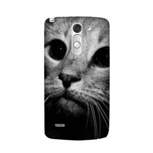 Cat Black and white Casing HP