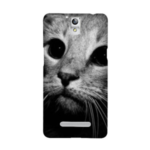 Cat Black and white Casing HP