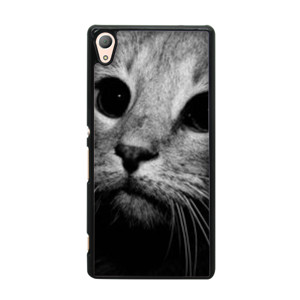Cat Black and white Casing HP