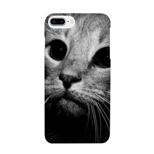 Cat Black and white Casing HP
