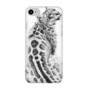 cas8 Casing HP