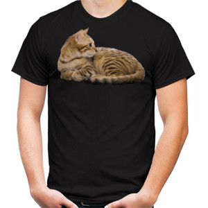 Kaos KUCING