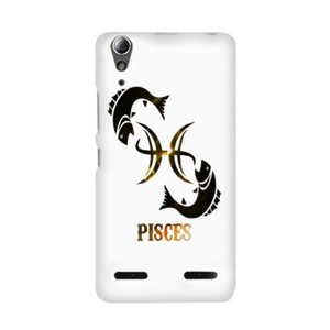Pisces Casing HP