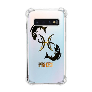 Casing HP Pisces