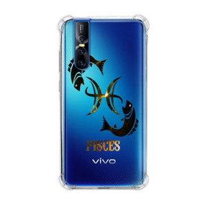 Casing HP Pisces