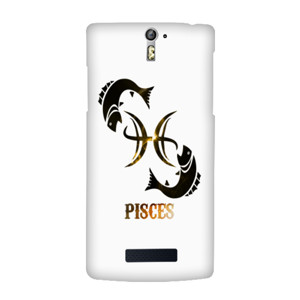 Pisces Casing HP