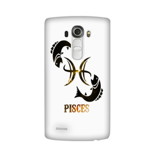 Pisces Casing HP