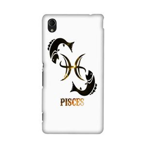 Pisces Casing HP